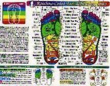 Foot Reflexology Chart  (Inner Light)