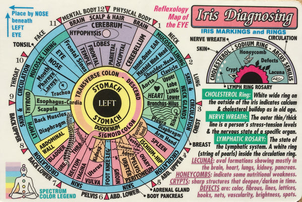 Iris Diagnosis Wallet Chart